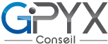GPYX, cabinet de conseil en management et organisation